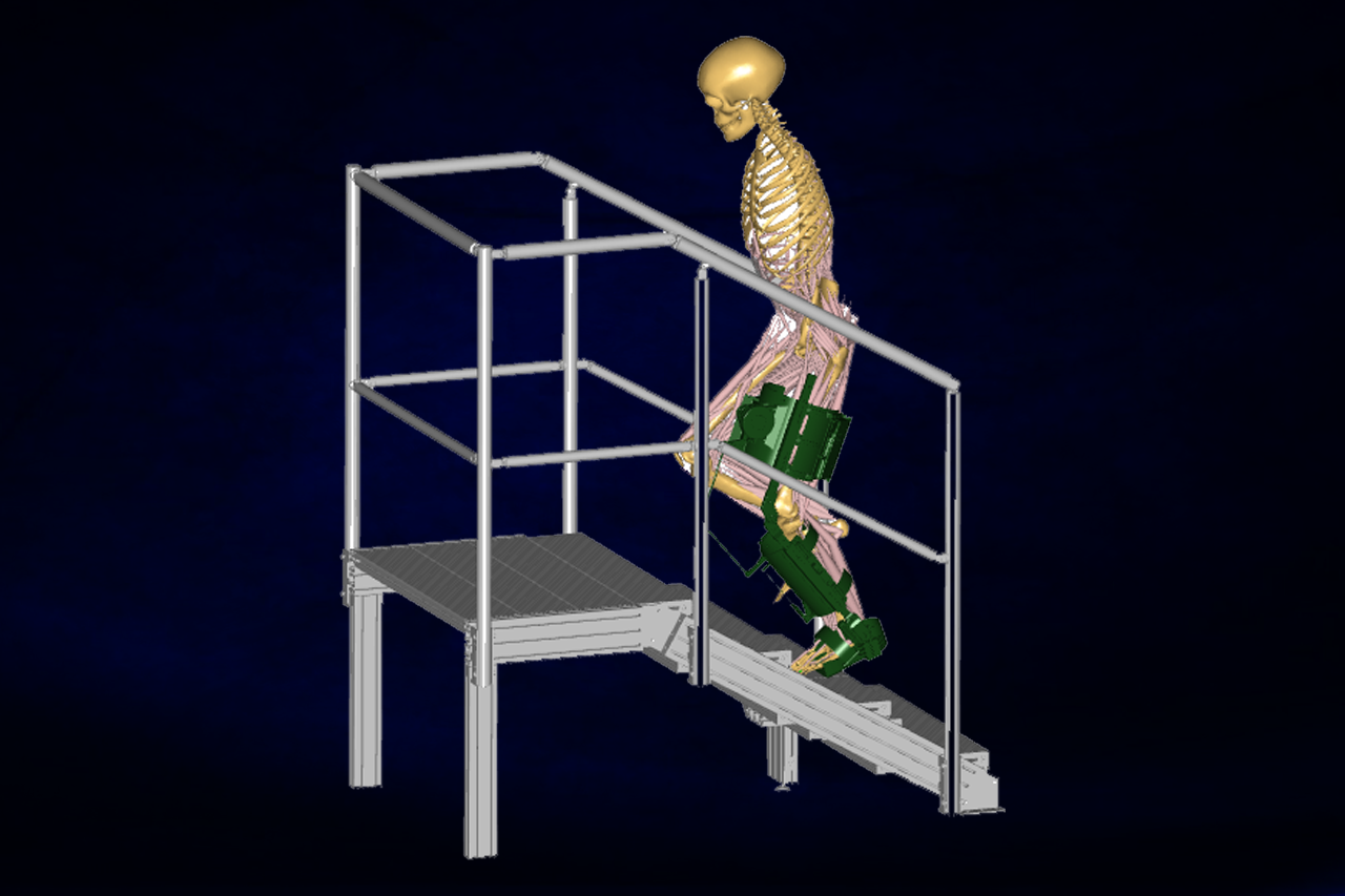 Veranschaulichung Projekt - menschliches Skelett steigt Treppe hoch/bei Verlinkung führt Link zur Website des Softwareanbieters
